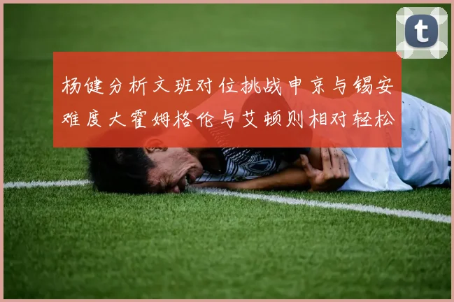 杨健分析文班对位挑战申京与锡安难度大霍姆格伦与艾顿则相对轻松